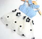 Summer girls wear denim skirt dress dress baby baby princess dress on behalf of a children.