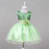 Baby Sequin Dress Flower Girl Wedding Princess Dress - Almoni Express