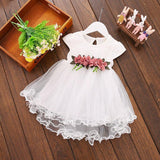 Fluffy princess dress fluffy tulle dress - Almoni Express