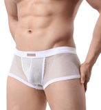 Men's Underwear Sexy Men's Boxer Pants Large Mesh Mesh Breathable Sexy Men's Underwear - Almoni Express