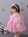 The Spring And Summer Of Years Old Female Infant Baby Child Princess Dress Girls DressPink Flower Girl Dress Skirt - Almoni Express