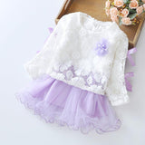 Wear a dress on behalf of autumn baby child Princess Dress girls dress baby clothes two piece autumn - Almoni Express